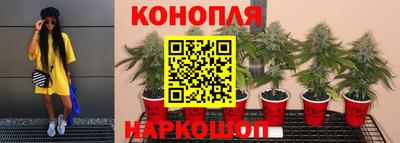 а пвп мука Севастополь