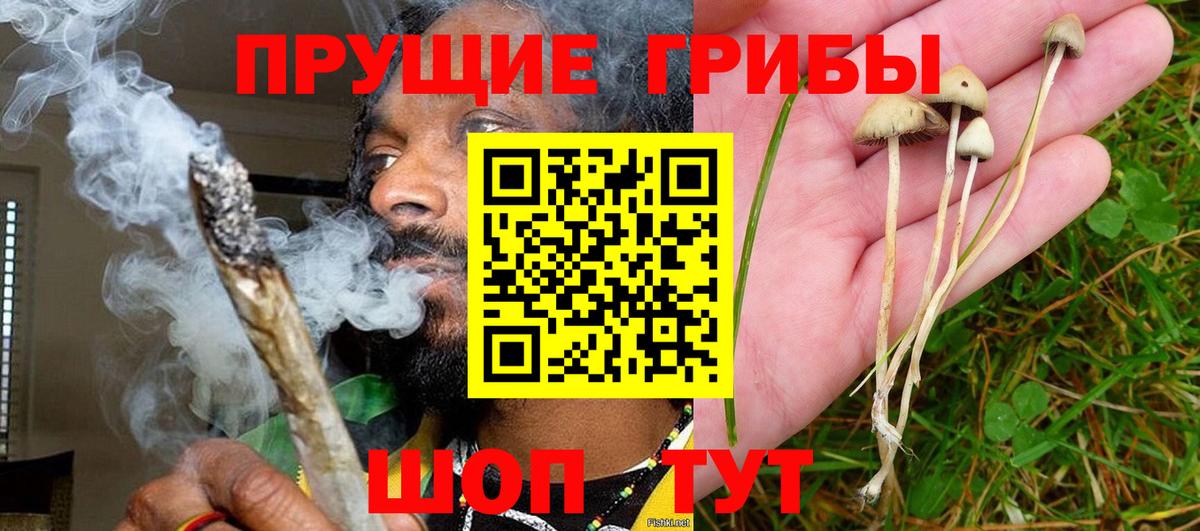Галлюциногенные грибы GOLDEN TEACHER Нововоронеж